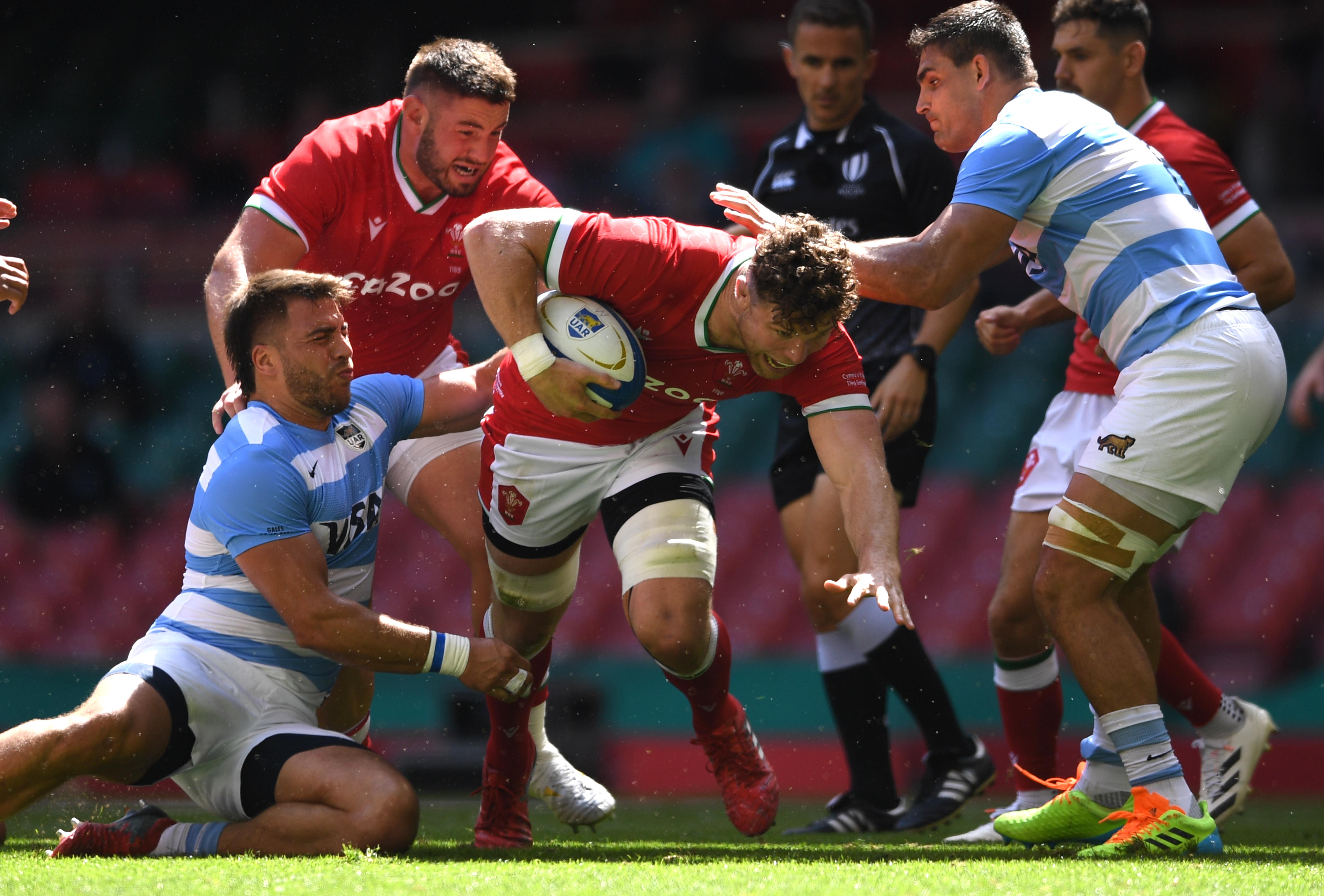 Wales v Argentina